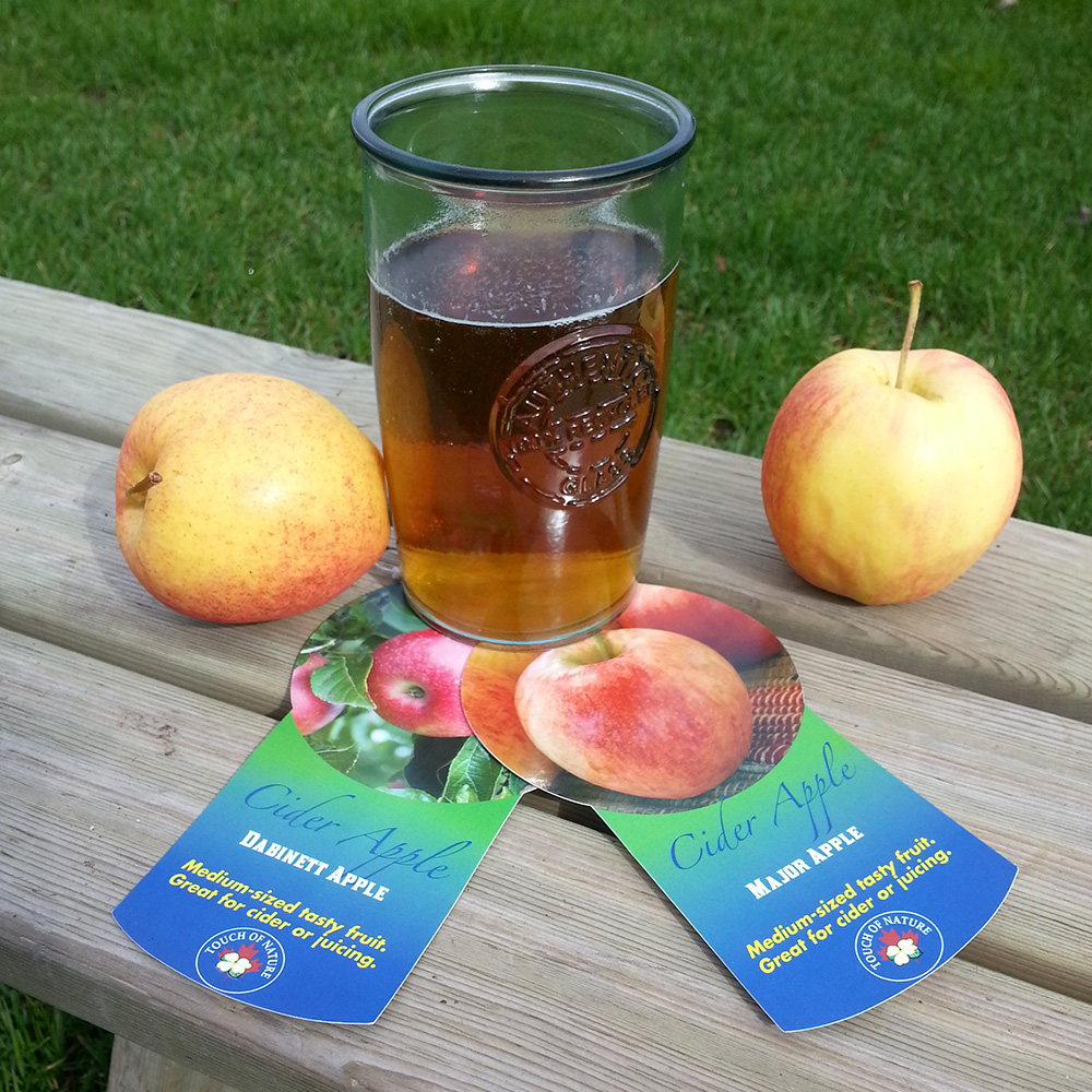 New Cider Apple by Touch of Nature - Kato's Nursery